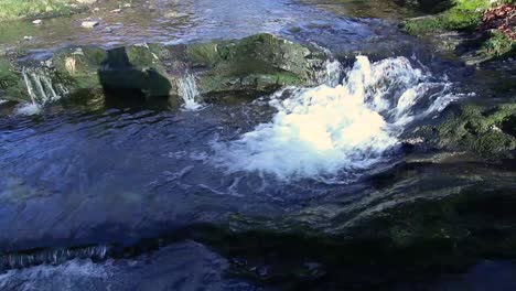 water-in-a-creek-in-Christieparken-in-Bergen,-Norway