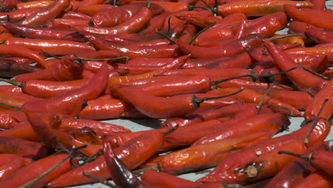 Closeup-shot-of-ripe-spicy-red-chilli-peppers