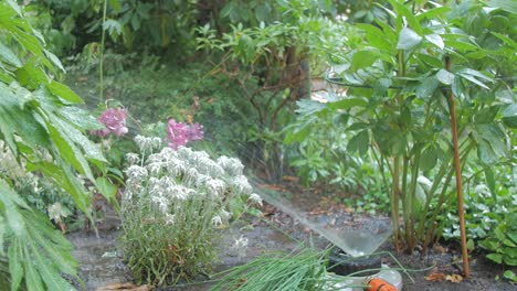 Stationary-Shot-of-a-Backyard-Garden-Full-of-Flowers-and-Plants-being-Well-Watered-by-a-Sprinkler-System