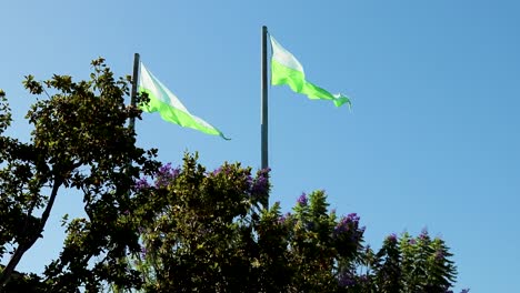 Two-flags-wavinf-in-the-wind-under-a-clear-sky-outside-of-buisness
