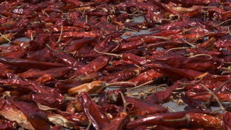 Close-up-shot-of-dried-spicy-red-chili-peppers
