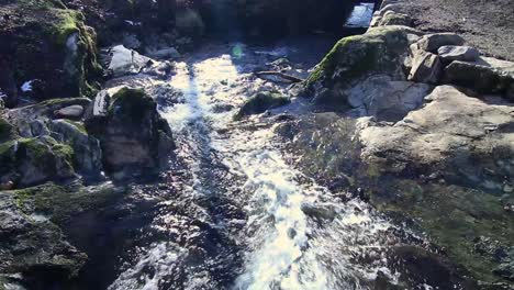 Wasser-In-Einem-Bach-Im-Christieparken-In-Bergen,-Norwegen