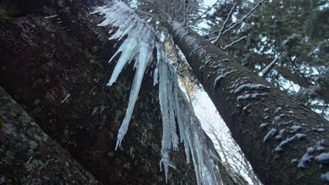 Ice-icicle-over-a-blurry-background-and-rocky-mountain-in-winter-forest
