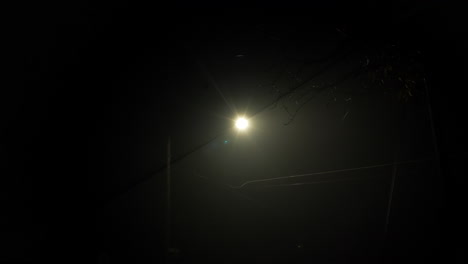 A-streetlight-shines-through-the-creepy-fog