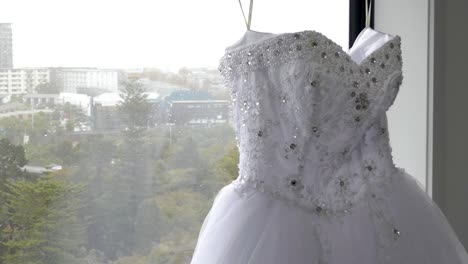 wide-shot-of--bride---bridemaid-wedding-dress