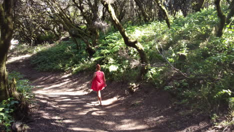 Walking-young-woman-in-a-red-dress-in-the-heather-forest-on-a-calm-sunny-day,-Valverde,-La-llania