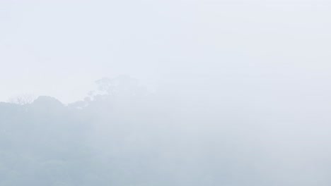 Nubes-Que-Cubren-Una-Montaña-Llena-De-árboles-Verdes-Durante-Un-Día-Muy-Frío-En-La-Jungla-De-Tailandia