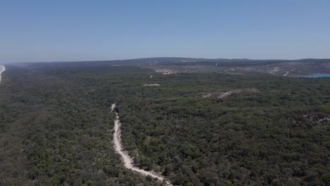 Panorama-Del-Exuberante-Bosque-Verde-En-La-Isla-De-North-Stradbroke-En-Queensland,-Australia