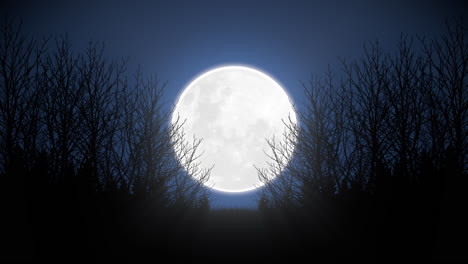 Big-Full-Moon-Forest-in-the-moonlight-LOOP-4k