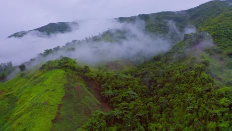 Luftflug-über-Grüne-Berge-Mit-Pflanzen,-Bäumen-Und-Moos,-Bedeckt-Von-Wolken-Und-Nebel-In-Los-Mogotes,-Dominikanische-Republik