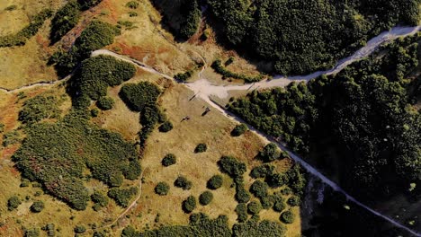 Clip-Aéreo-De-Drones-De-4k-De-La-Cordillera-De-Tatra-En-La-Frontera-De-Eslovaquia-En-Un-Entorno-Natural-Visto-Desde-Arriba
