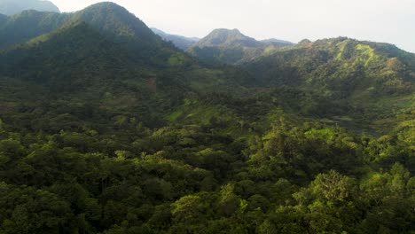 Luftaufnahme-Des-Nebligen-Grünen-Waldes-Im-Zentralamerikanischen-Dschungel,-Honduras