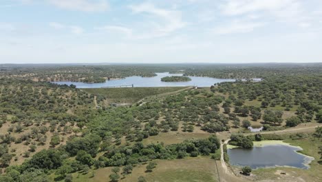 Aerial-footage-of-a-landscape-with-a-lake-and-bull-in-the-background