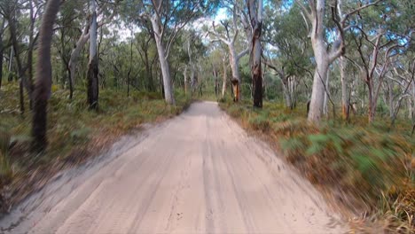Rear-facing-driving-point-of-view-POV-travelling-along-a-deserted-and-bumpy-sandy-inland-track,-through-open-scrub-and-overhanging-trees---ideal-for-interior-car-scene-green-screen-replacement
