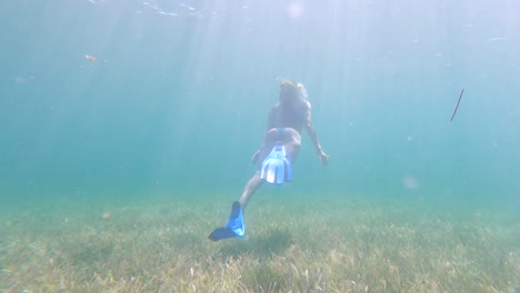 Free-diver-lady-woman-underwater-diving-in-the-ocean-with-sea-grass,-green-plants
