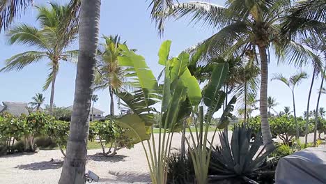 Tropische-Atmosphäre-Panorama-In-Punta-Cana-Dominikanische-Republik,-Schönes-Klima-Mit-Strahlendem-Sonnenschein,-Toristischer-Lebensstil