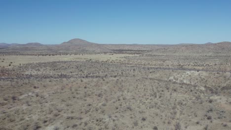 Etosha-Nationalpark-In-Namibia-Mit-Blauem-Himmel-Im-Hintergrund,-Afrika