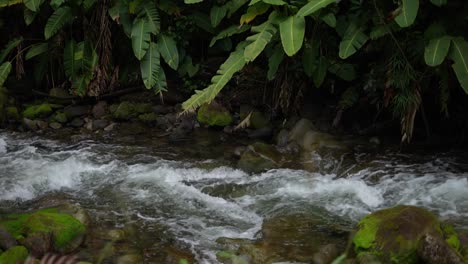 Wunderschöner-Kaskadierender-Fluss,-Der-Neben-Felsen-Und-Bäumen-Durch-Den-Regenwald-Fließt