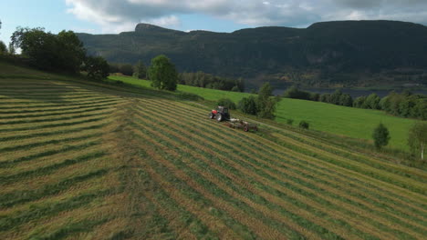 Silage-Production