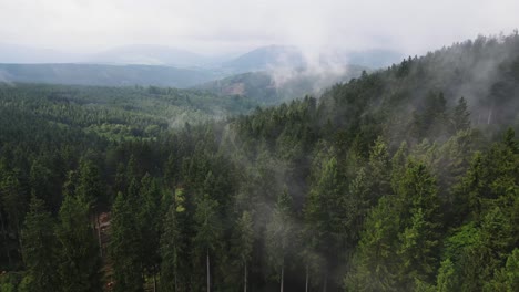 Aerial-drone-footage-of-forest-mist