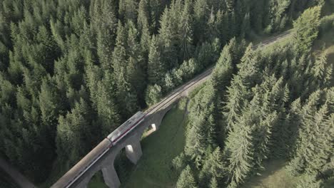 Train-passing-through-forest-on-telgart-viaduct-in-the-middle-of-Slovakia
