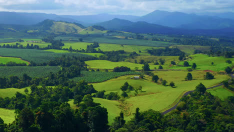 Scenic-Nature-Landscape-With-Green-Fields-And-Lush-Vegetation-In-Atherton-Tablelands,-Queensland,-Australia---aerial-drone-shot