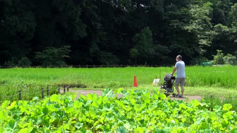 A-grandfather-walks-his-little-granddaughter-along-one-of-the-trails-in-Kitayama-Park-in-Tokyo,-Japan