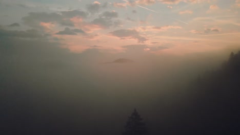Thick-cloud-of-mist-covering-the-pine-forest-at-sunrise--Aerial