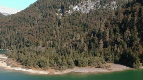 Waldküste-Eines-Sees,-Aufgenommen-Von-Einer-Drohne