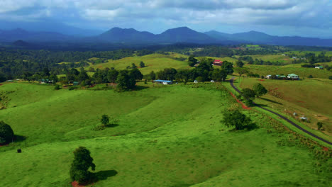 Lush-Vegetation-And-Vibrant-Fields-In-Atherton-Tablelands,-Queensland,-Australia---aerial-drone-shot