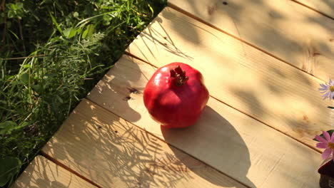 Single-ripe-red-pomegranate-on-wood-decking-next-to-grass-in-sunny-garden