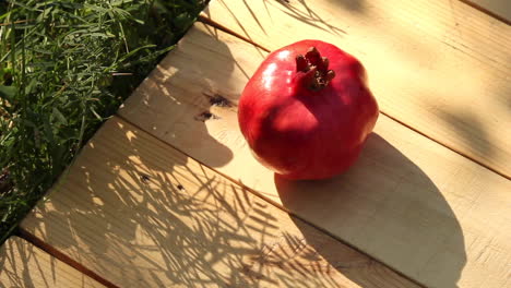 Single-ripe-red-pomegranate-on-wood-decking-next-to-grass-in-sunny-garden