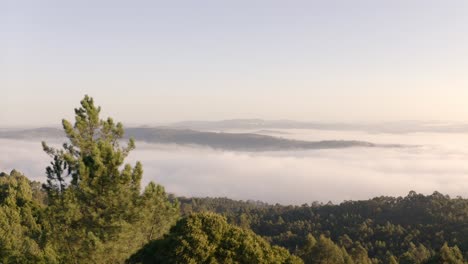 Drone-Volando-Sobre-Bosque-Verde-Con-Mar-De-Nubes-En-Montañas-Cerca-De-Porto,-Portugal