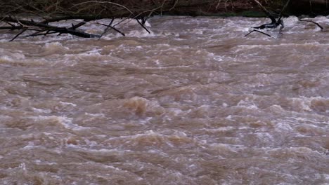 Zoomed-in-super-slow-motion-of-a-brown-fast-flowing-powerfull-river-with-broken-fallen-trees
