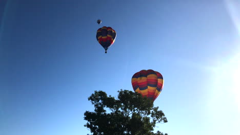 Drei-Heißluftballons,-Die-Hinter-Einem-Baum-Klettern
