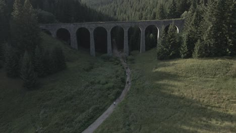 Viaducto-De-Telgart-Escondido-Entre-Los-árboles