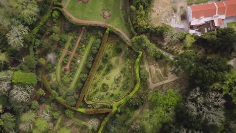 Aerial-footage-of-beautiful-gardens-and-flowerbeds-in-Terra-Nostra-Park-in-Sao-Miguel