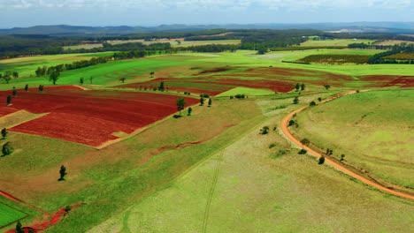 Aerial-View-Of-Colorful-Farm-Fields-In-Atherton-Tablelands,-Queensland,-Australia---drone-shot