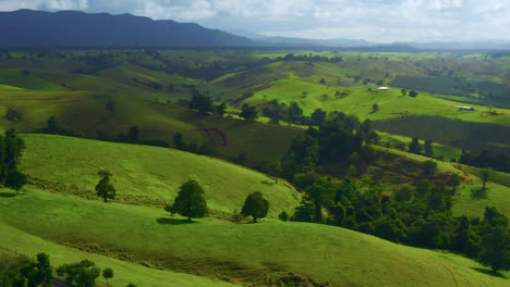Die-Sanften-Grünen-Hügel-Der-Atherton-Tablelands-In-Australien---Drohnenaufnahme-Aus-Der-Luft