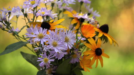 Blumenstrauß-Aus-Gänseblümchen-Und-Schwarzäugigen-Susans-Im-Garten-Mit-Herumfliegenden-Bienen