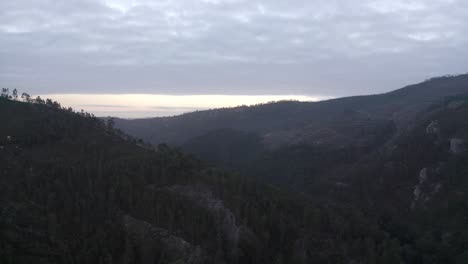 Coníferas-Con-Follaje-Denso-En-Las-Crestas-De-Las-Montañas-Durante-El-Amanecer-En-Oporto,-Portugal
