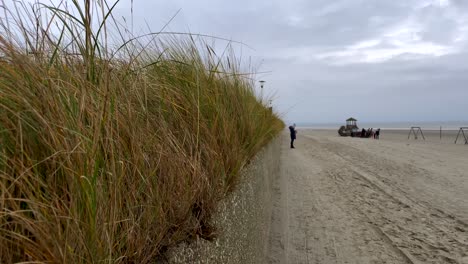 Pov-forward-walk-through-grass-of-dunes-beside-sandy-beach-during-cloudy-day-at-sea---close-up-shot