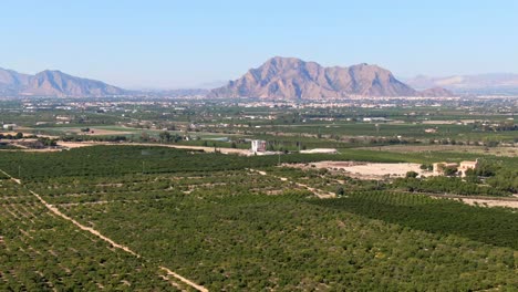 Mediterrane-Grüne-Zitrusfruchtfelder-In-Der-Nähe-Von-Algorfa,-Spanien-Mit-Bergen-Im-Hintergrund