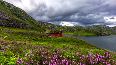 Red-cabin-between-lake-and-mountain,-heather-and-cloud-movement,-Norwegian-countryside