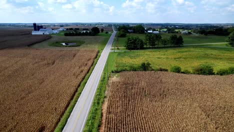 long-roadway-aerial-in-kentucky-farm-country,-corn-fields,-cornfields