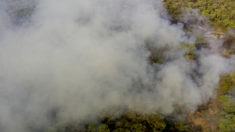 Rauch-Steigt-Aus-Einem-Feuer-Auf,-Das-Die-Wälder-Des-Brasilianischen-Pantanal-Verbrennt---Luftbild