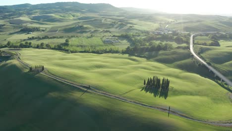drone-shot-at-sunset-of-the-famous-cypresses-from-Val-d'Orcia-in-Tuscany,-Italy