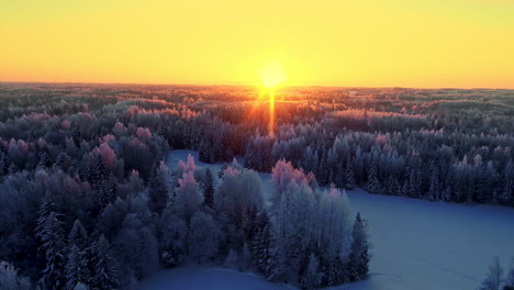 sunlight-brightens-treetops-in-frozen-boreal-forest-at-sunset