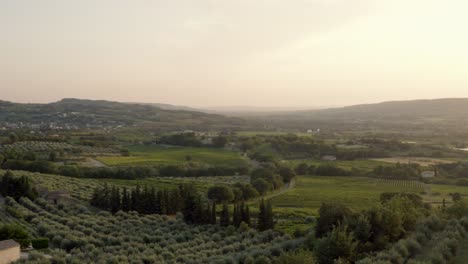 Schöne-Natur-In-Südfrankreich-Mit-Olivenbäumen-Und-Weinbergen