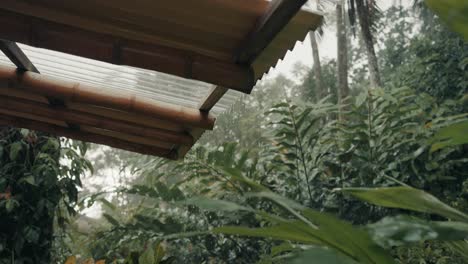 Rain-Flows-Down-From-A-Roof-On-Rainy-Season-With-Fog-On-Lush-Foliage